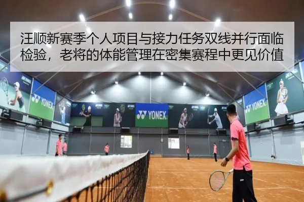 汪顺新赛季个人项目与接力任务双线并行面临检验，老将的体能管理在密集赛程中更见价值